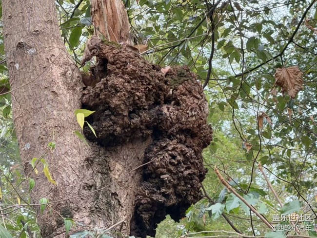 【早春第一站】戶外