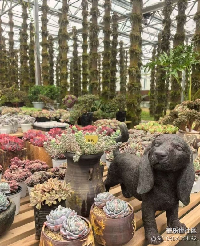 【早春第一站】看風(fēng)景