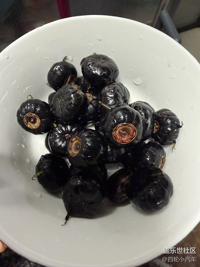 【早春第一站】戶外