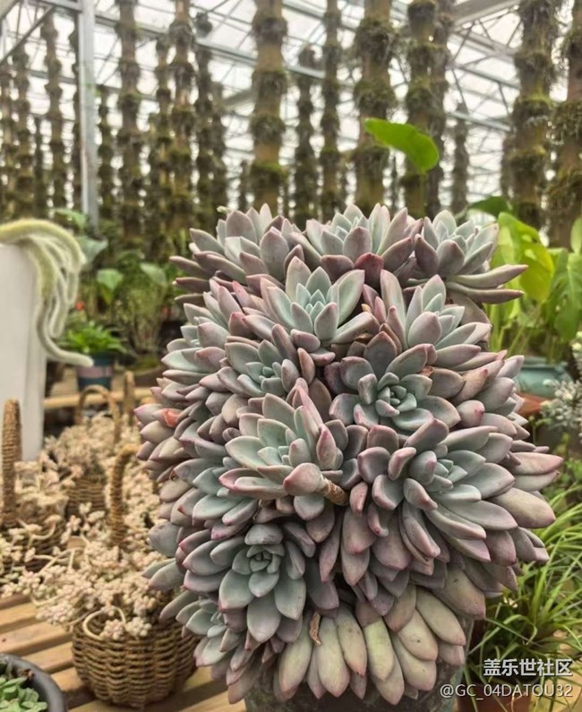 【早春第一站】看風(fēng)景