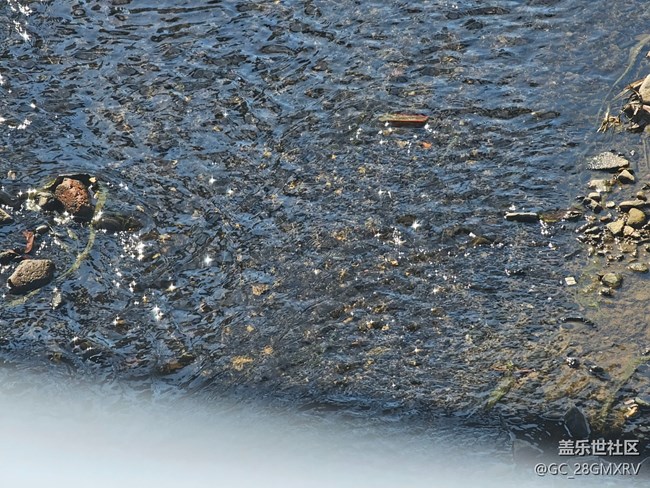 【冬韻】路上街景