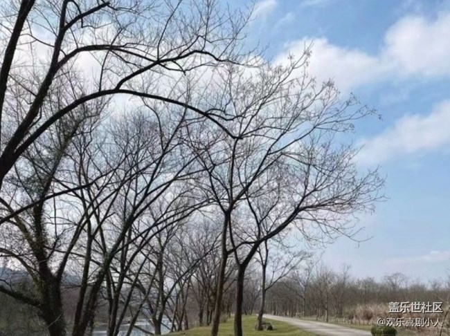 【早春第一站】一片蕭瑟