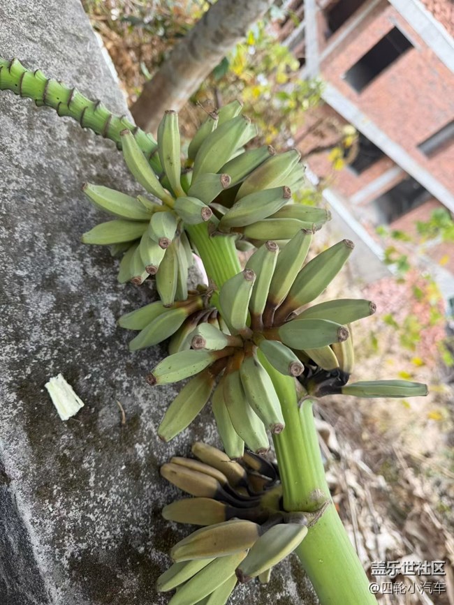 【早春第一站】戶外