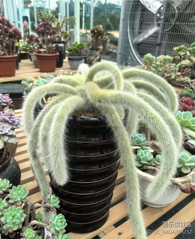 【早春第一站】看風(fēng)景