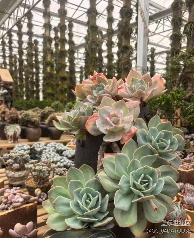 【早春第一站】看風(fēng)景