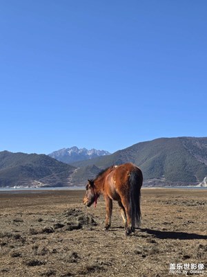 迪慶藏族自治州