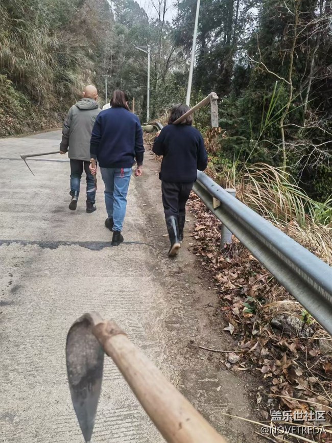 【早春第一站】挖筍