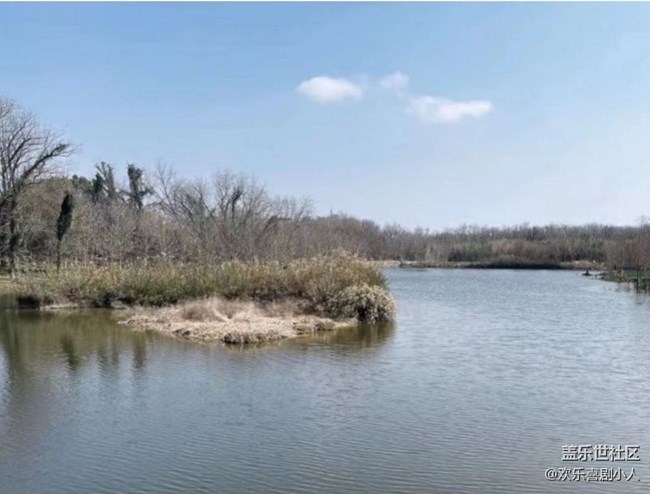 【早春第一站】一片蕭瑟