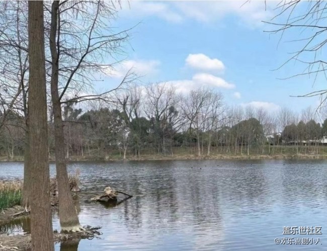 【早春第一站】一片蕭瑟