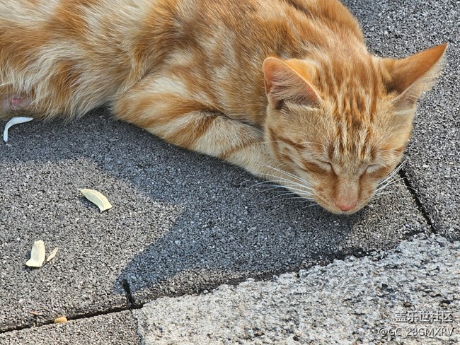 【冬韻】路上街景