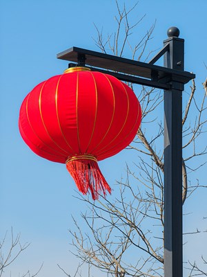 【攝影版塊二月第四周】行攝正月里