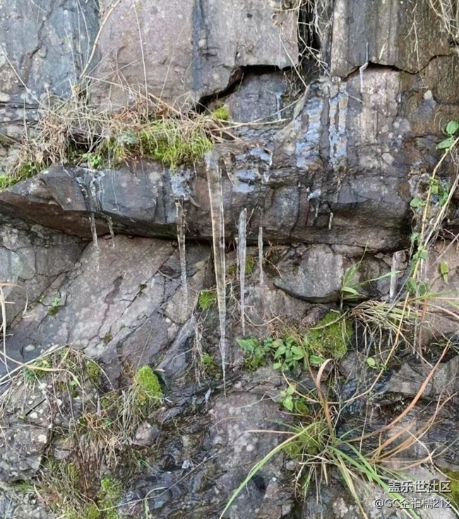 【早春第一站】冰凍世界