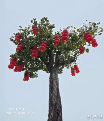 【換個(gè)角度看世界】小區(qū)一角