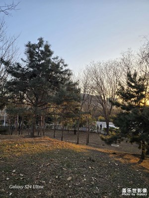 讀書之于頭腦，好比運(yùn)動(dòng)之于身體