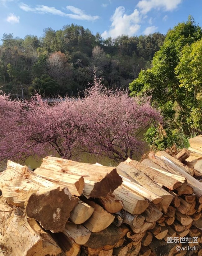 【早春第一站】賞梅時(shí)節(jié)