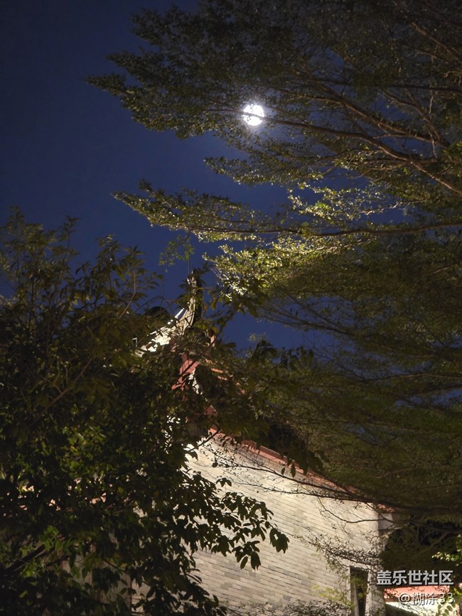 【星粉嘉年華】永慶坊里的冬日歡聚