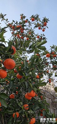 二月二號，大吉大利