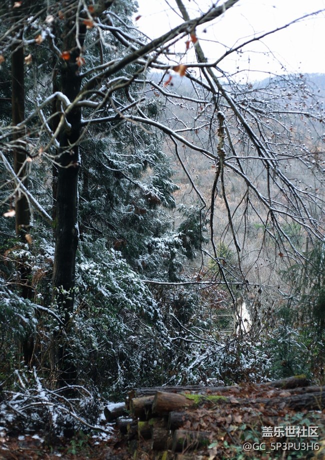 【早春第一站】登山