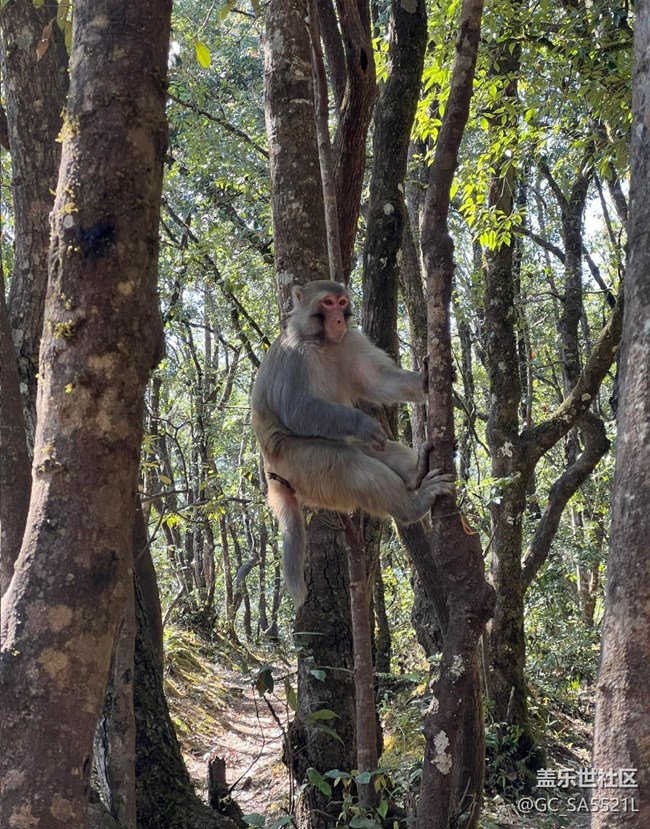 【早春第一站】與大自然共赴時光之約