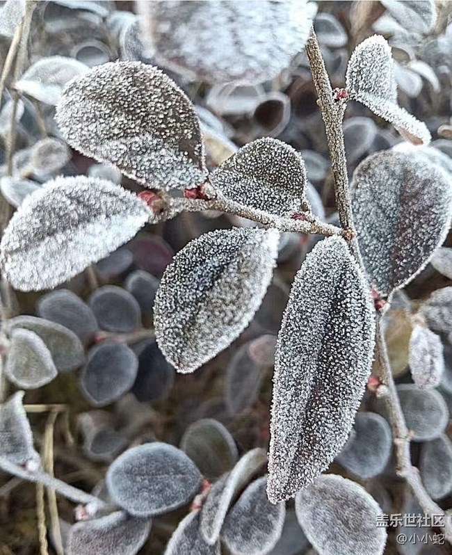 【早春第一站】寒冷清晨