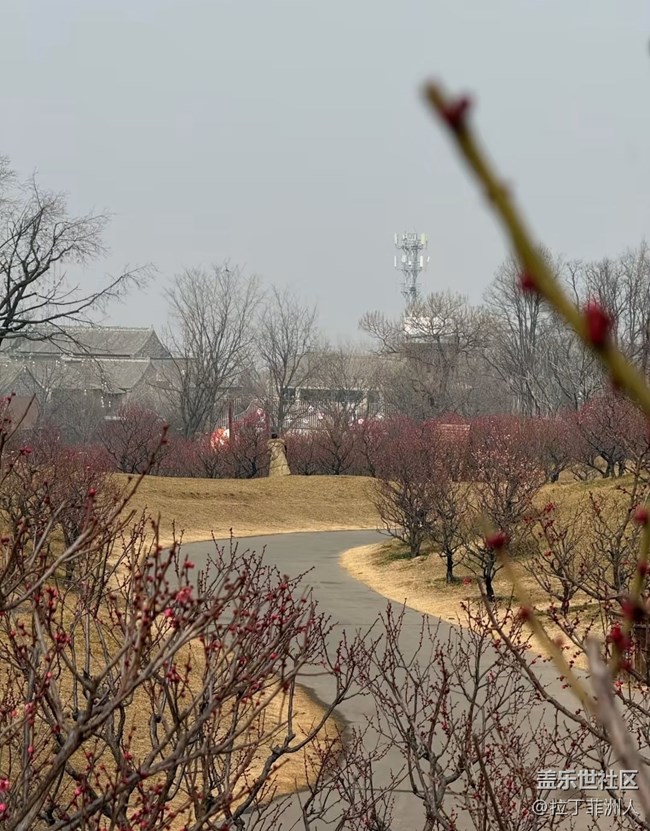 【早春第一站】賞梅去