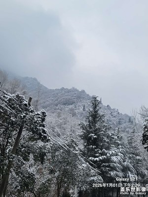 【不期而遇的美】+自然美景