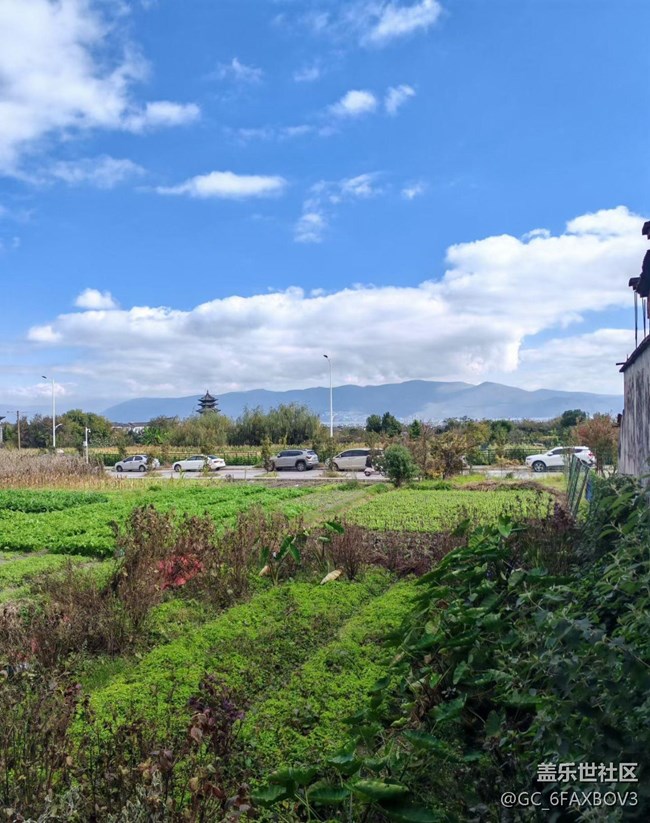 【早春第一站】書(shū)香與春光共舞