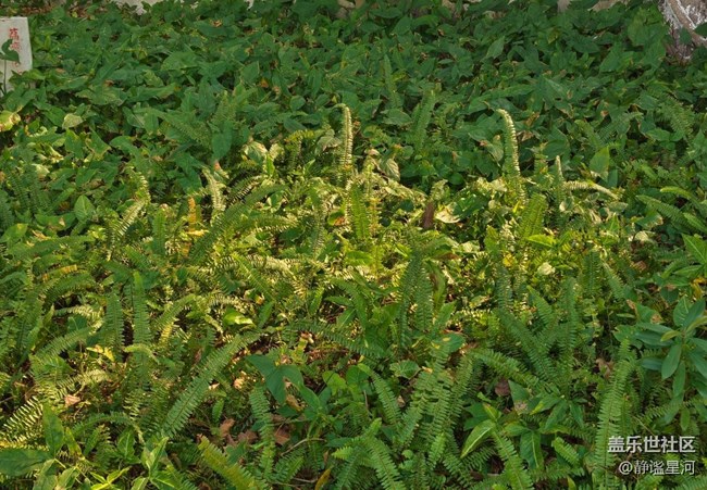 【早春第一站】公園游玩