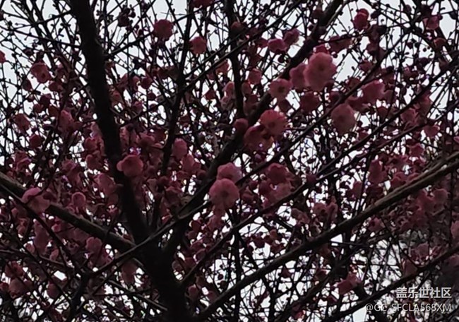 【早春第一站】早春清晨