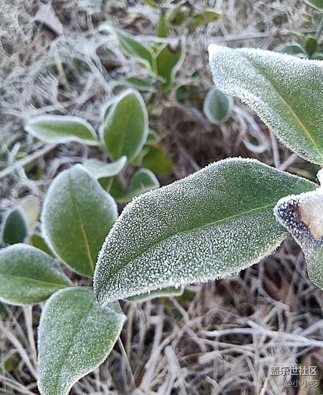 【早春第一站】寒冷清晨
