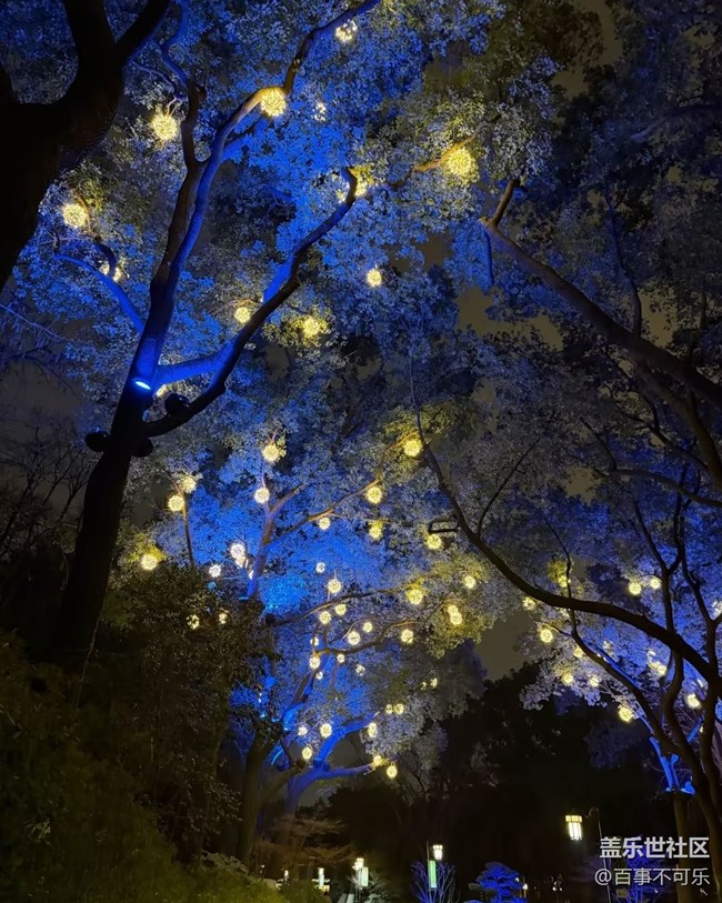 【早春第一站】老家公園