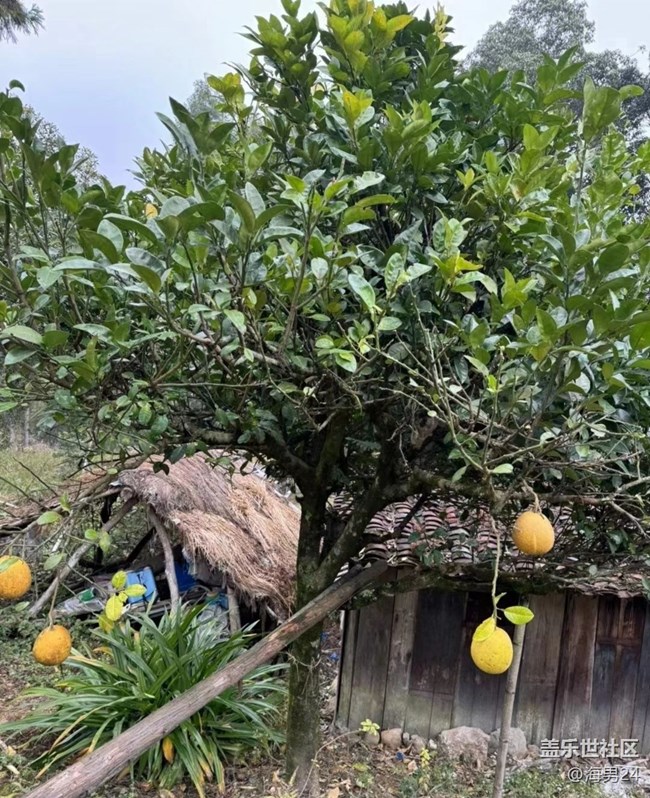 【早春第一站】看風(fēng)景