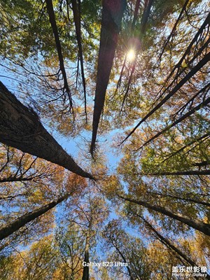 【不期而遇的美】+ 一月的廣州麓湖