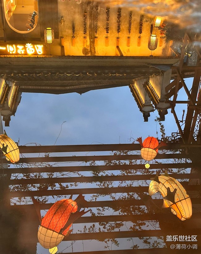 【早春第一站】逛魚燈