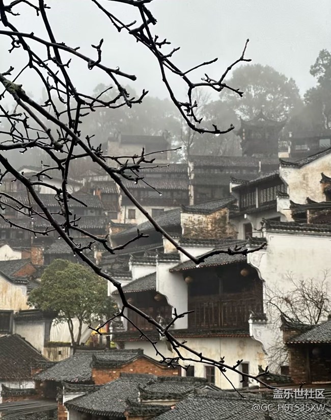 【早春第一站】雨天