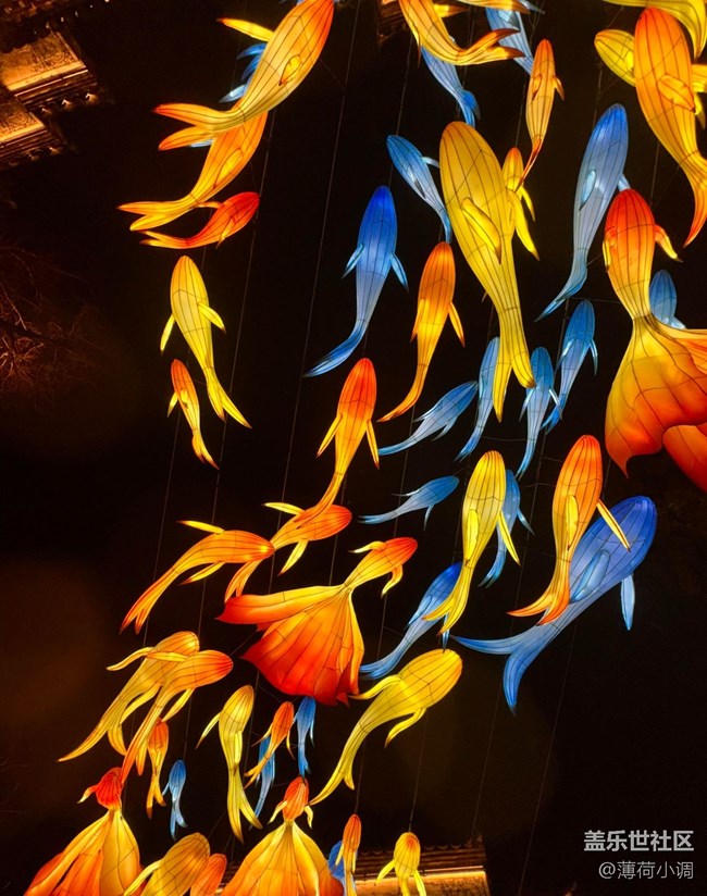 【早春第一站】逛魚燈