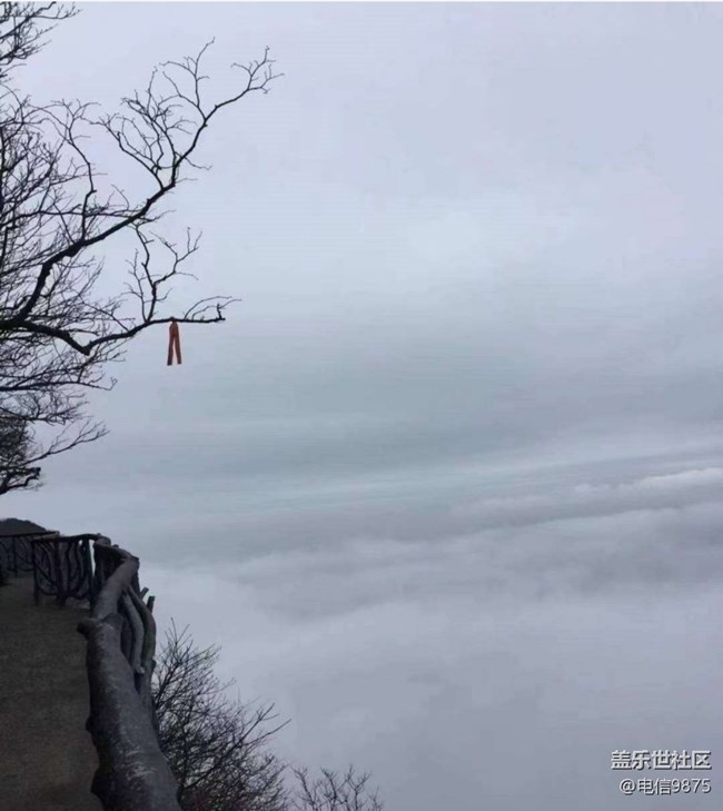 【早春第一站】張家界