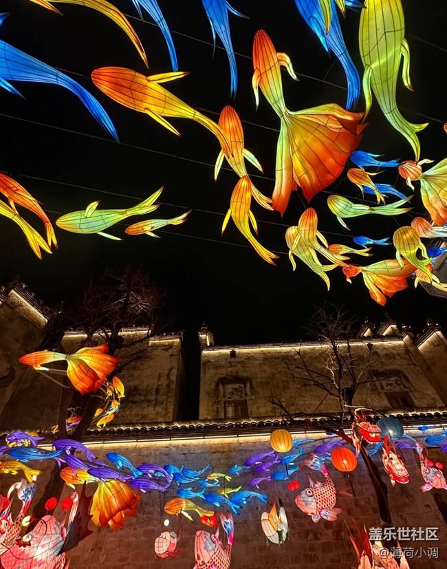 【早春第一站】逛魚燈