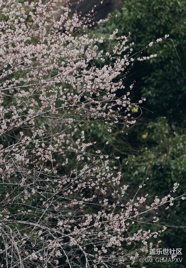 【早春第一站】田野風(fēng)光