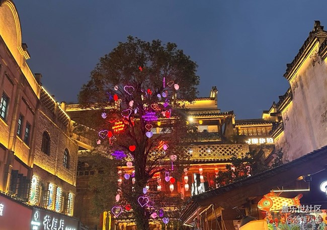 【早春第一站】逛魚燈