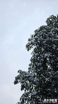 【不期而遇的美】+下雪了