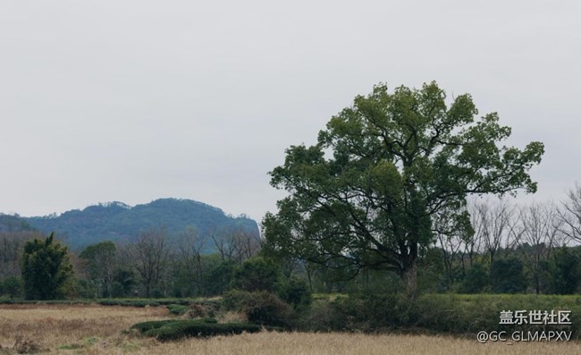 【早春第一站】田野風(fēng)光