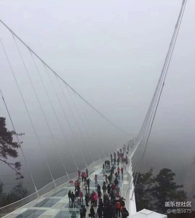 【早春第一站】張家界