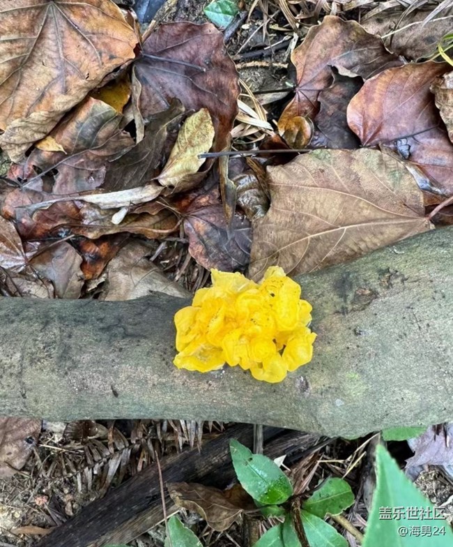 【早春第一站】看風(fēng)景