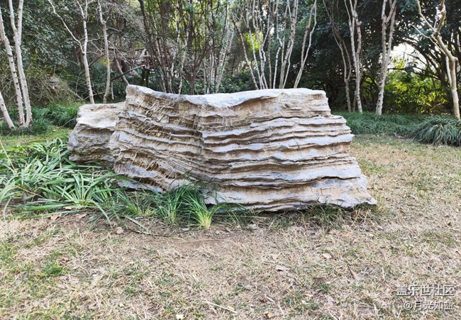 【早春第一站】公園散步