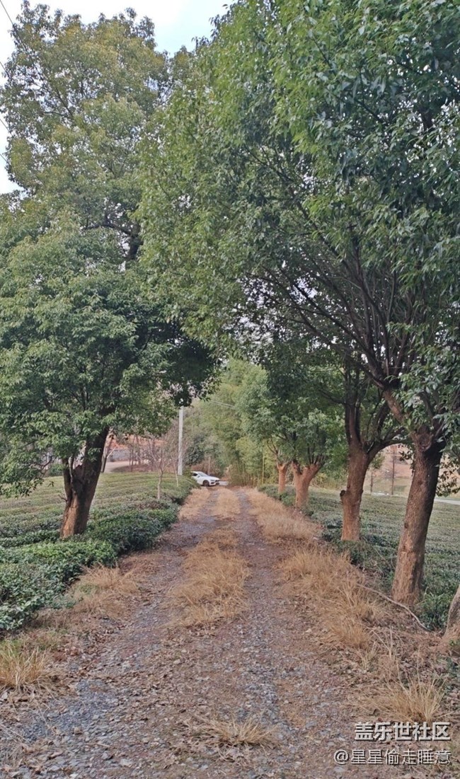 【早春第一站】田園風(fēng)光