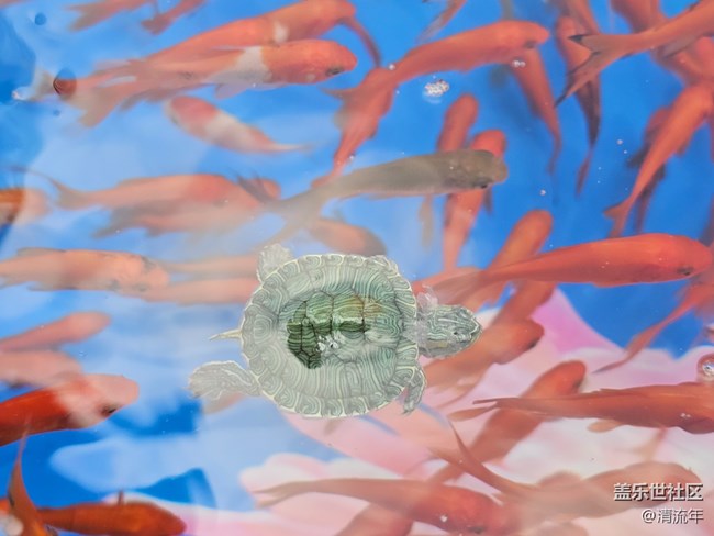 【早春第一站】戶(hù)外好時(shí)光