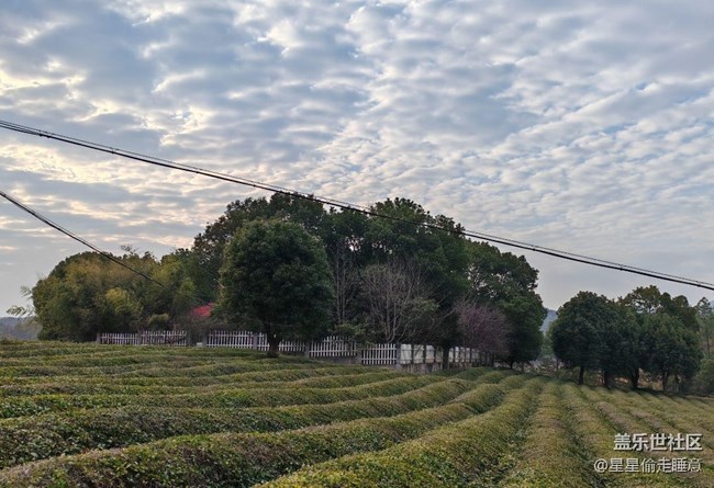 【早春第一站】田園風(fēng)光