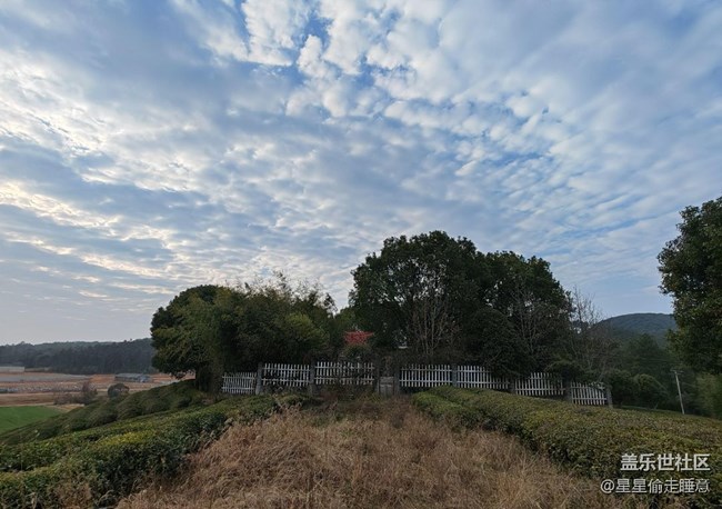 【早春第一站】田園風(fēng)光