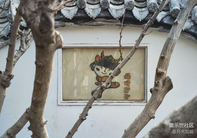 【早春第一站】公園散步